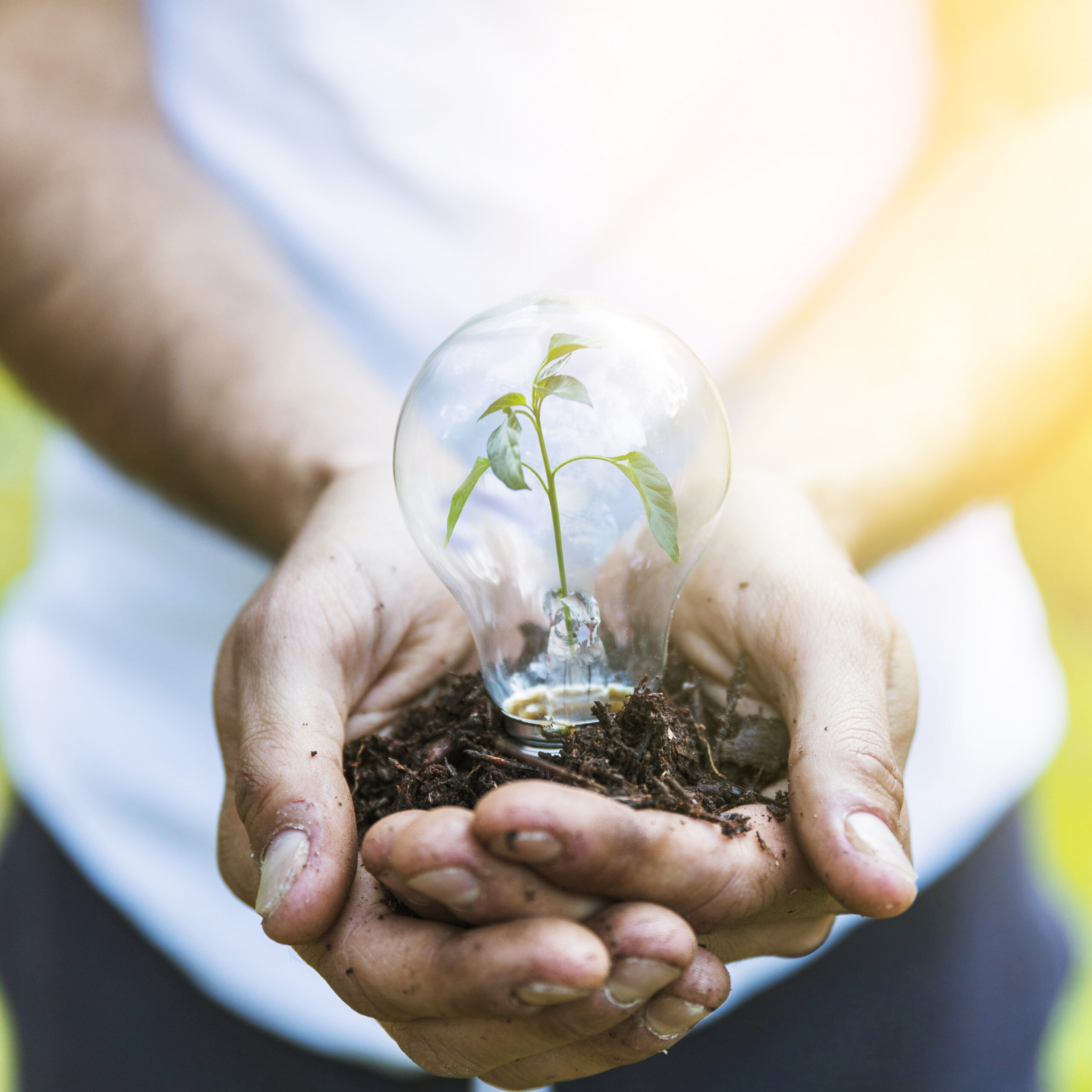 faceless man keeping bulb with plant scaled